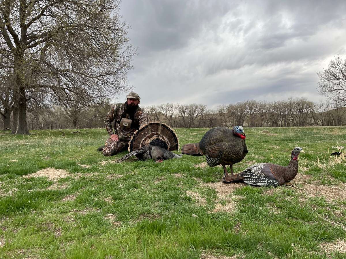Southwestern Colorado Turkey Hunts Turkey Hunting Outfitters